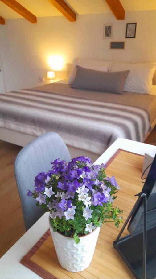 Apartman Diana,Free Parking PUY Eksteriør bilde