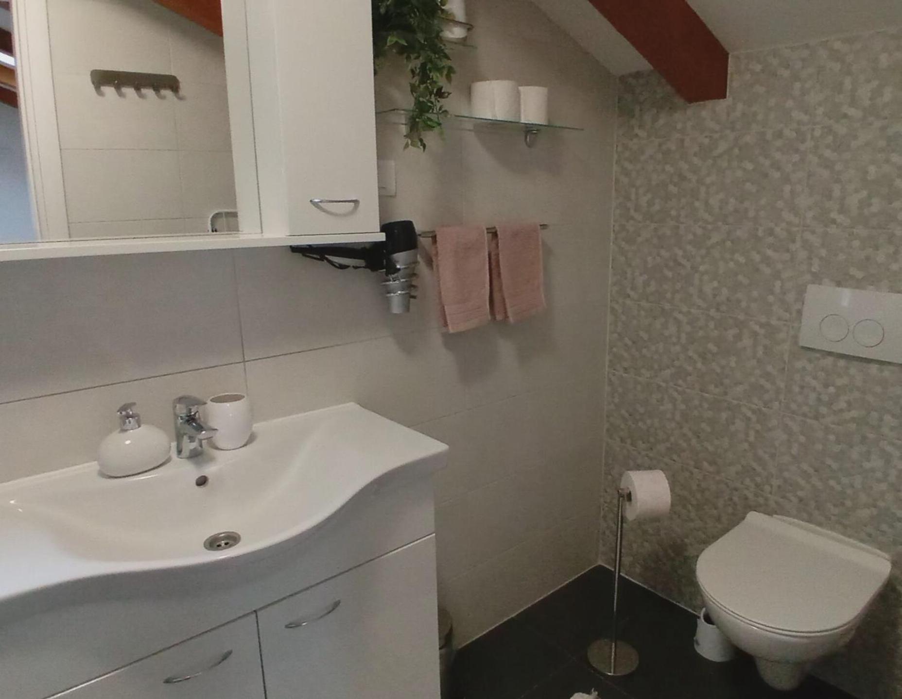 Apartman Diana,Free Parking PUY Eksteriør bilde